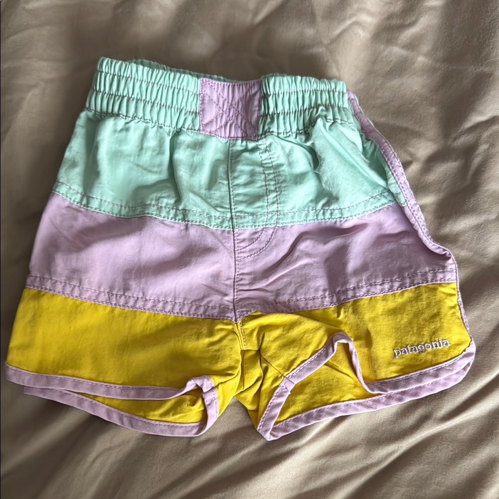 Patagonia Colorblock Shorts